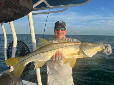 Marco Island Nearshore Reefs & Wrecks Fishing Charter